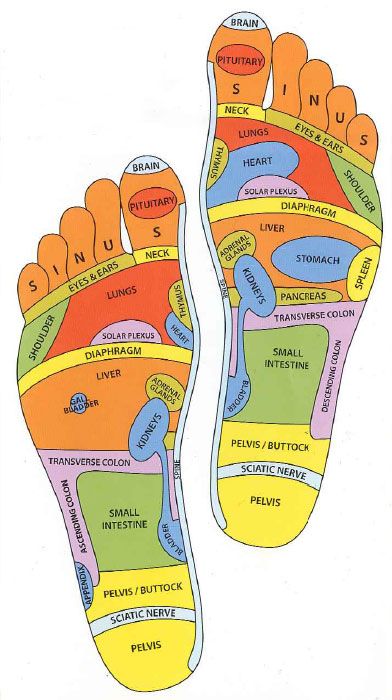 Reflexology Foot Chart